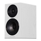 Variant 1